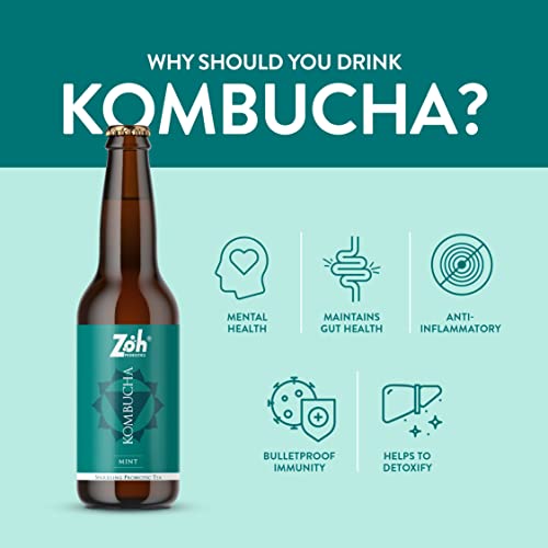 Image of Zoh Probiotics Mint Kombucha | (330 ml, Pack of 6) Tea with detoxifying acids, and digestive enzymes. Raw, unfiltered, and unpasteurized with Mother | Made with real mint tea