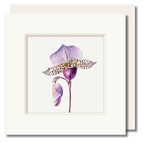 Floral Greeting Card - Purple Slipper Orchid - Simply Beautiful - Embossed Frame - Blank Inside - Botanical Watercolour - Original Art Cover