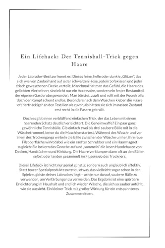 Das perfekte Buch für Labrador-Fans: Fun Facts, Geschichten, Ideen und mehr