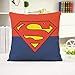 Jingrui Almohada De Dibujos Animados Superman Wonder Woman Almohada Cojín Funda De Almohada Sofá Decorativo para El Hogar Almohadas