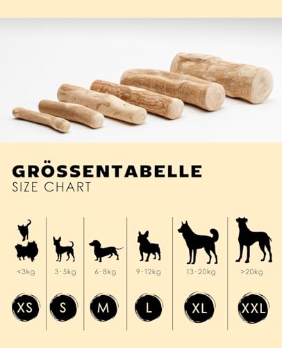 lionto Kaffeeholz für Hunde, Größe XS, 100% natürliches Robustes Kauspielzeug für gesunde Zähne, umweltfreundlicher Kauknochen für Welpen, langlebig & splitterarm, für Hunde unter 3 kg