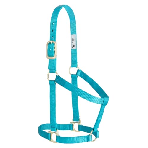 Image of Weaver Equine Nylon Horse Halter, Comfort Double-Ply Webbing, Basic Non Adjustable Halters for Horses, Equine Tack,Average Size, Turquoise