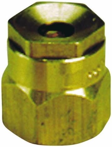 Champion 1/2 in. Dia. x 0.8 in. L Spray Head Cap