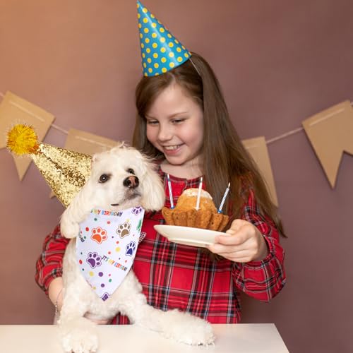 Conjunto de bandana de aniversário de cachorro e chapéu de aniversário de cachorro, roupa de anivers