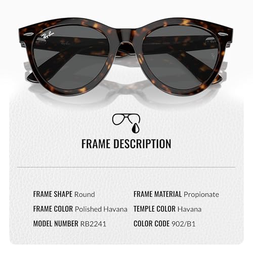 Ray-Ban RB2241 WAYFARER WAY Round Shaped Sunglasses for Men & Women with Official RAYBAN Eyewear Kit3