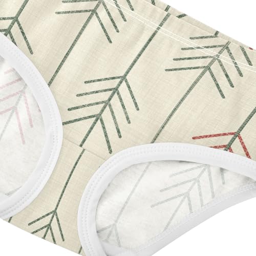 Cotton Panties Underwear for Daily Wear Organic Underwear for Kids in Sizes 2T,3T, 4T, 5T, 6Y and 8Y4