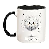 YOLANDEEUROKOK Blow Me, Adult Humor Mug, Offensive Mug, Make A Wish, Offensive Mug, 11 Oz Novelty Coffee Mug, Black