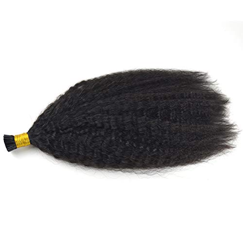 Afro kinky curly I Tip hair extension 100% human hair 1g/strand 100g natural color virgin hair (16, Natural Color)_AB