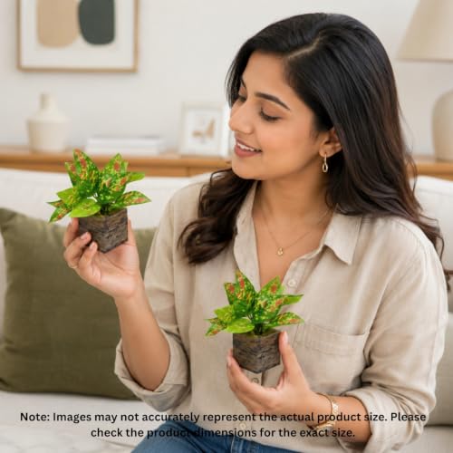 Image of DecoreBugs Artificial Real Touch Flower Plant with Pot (Pack of 2), 16 cm Height, Decorative Faux Floral Plant for Home, Office, Living Room, Bedroom, Table & Shelf Decor