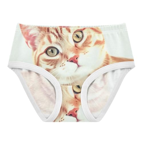 Cute Cat Panties for Girl Toddler Underwear Floral Cotton Fun Kids Briefs Undies 2t
