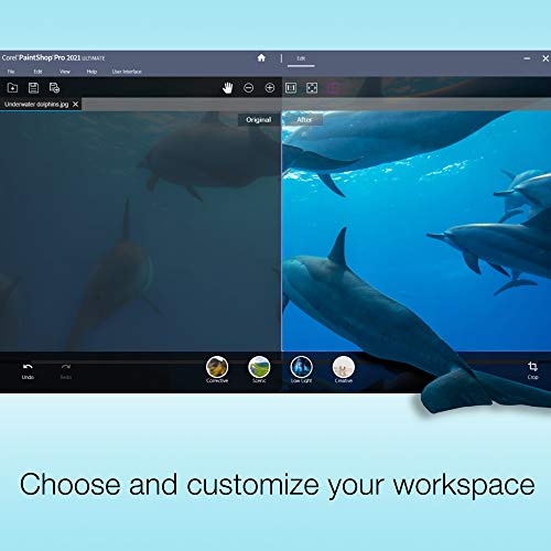 Corel Photo Video Ultimate Bundle 2021 thumb #6