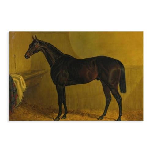 Portraits de cheval vintage sur toile grand format 50,8 x 76,2 cm premium
