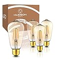 Hudson Vintage LED Edison 4W Bulbs (4-Pack) - 2200K Dimmable Warm Illumination (40W Equivalent) - E26/27 Amber-Gold Tint Glass - ST58 Decorative Set