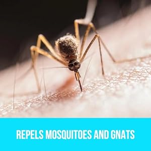 BUGGINS Original - Insect Repellent - Mosquitoes & Gnats, DEET Free, Non-Greasy - 4 oz Pump Spray Bottle - 3 Pack BUGGINS Original – Insect Repellent – Mosquitoes & Gnats, DEET Free, Non-Greasy – 4 oz Pump Spray Bottle – 3 Pack