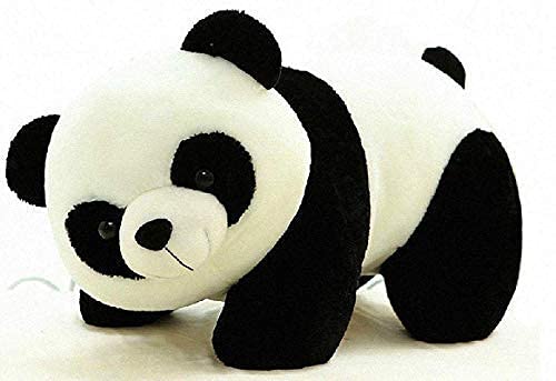 See full amazon price history chart for Future Shop Soft Stuffed Plush Toy Panda Lovable Huggable Teddy Bear for Kids/Girls/Boys (Multicolor) Future Shop Soft Stuffed Plush Toy Panda Lovable Huggable Teddy Bear for Kids/Girls/Boys (Multicolor) (B093WL77RY) Amazon Price History, Amazon Price Tracker