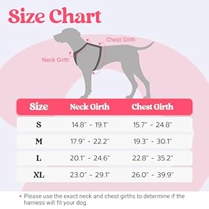 Rabbitgoo dog harness for large dogs no pull pet harness with soft padded handle adjustable reflective vest with 3 buckles easy walking harness with 2 leash clips pink l   cucciolini doodles