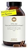 SUNDAY NATURAL® Reines OPC Traubenkernextrakt Hochdosiert - 240 Kapseln für 8 Monate - aus spanischen Weintrauben - Höchster OPC-Gehalt nach UPLC - Laborgeprüft in Deutschland, vegan