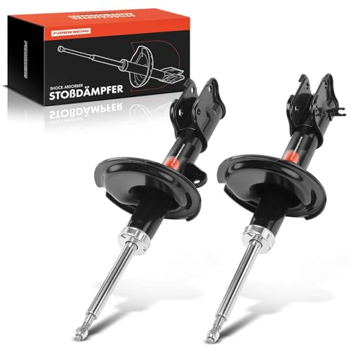 Amortisseur à gaz stabilisateur pour Santa Fé II CM G8151