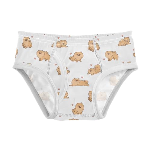 Cotton Little Boys Briefs Soft Brown Pomeranian Dog Toddler Underwear - Main Image