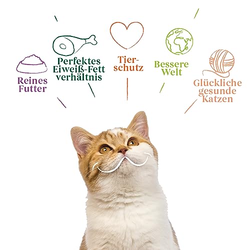Yarrah Bröckchen Huhn Truthahn 100g Bio Katzenfutter, 16er Pack (16 x 0.1 kg)