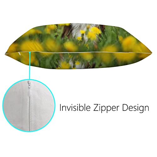 Xollar Pillowcases Queen Size 20 X 30 In Set Of 2, Border Collie In Dandelions Bed Pillow Case Pillow Sham Protector Cover For Bed Sofa Zipper Closure #TOP2