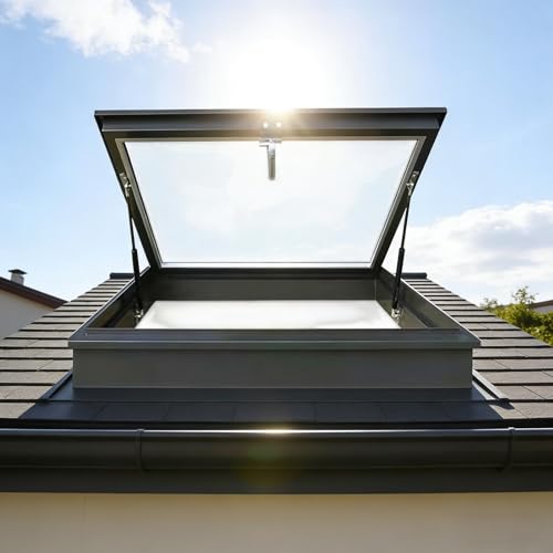 Porte de sécurité pour puits de lumière contre les effractions - 2