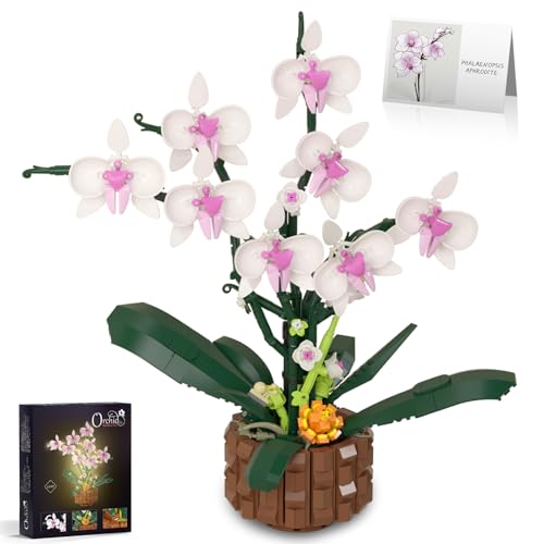 Kufanda Blocs de Construction Orchidees, kit de Blocs de Construction de Fleurs pour Enfants de 6 Ans et Plus, pour Les Amateurs de Blocs de Construction,Cadeau de Noël pour Adultes(1004 PCS)