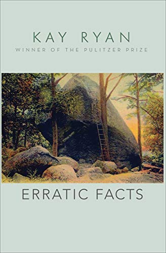 Erratic Facts (English Edition) - Ryan, Kay