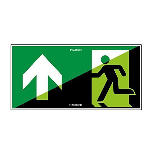 Preisvergleich Produktbild Fluchtwegschild 300x150mm - lang nachleuchtend - Folienschild selbstklebend - gem. ASR 1.3, DIN ISO 7010 (E001+Pfeil oben)