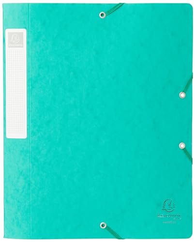 Exacompta 14003H Premium Sammelbox mit Gummizug 40 mm breit aus extra starkem Colorspan-Karton mit Rückenschild für DIN A4 Archivbox Heftbox Dokumentenbox Zeichenbox Sammelmappe grün