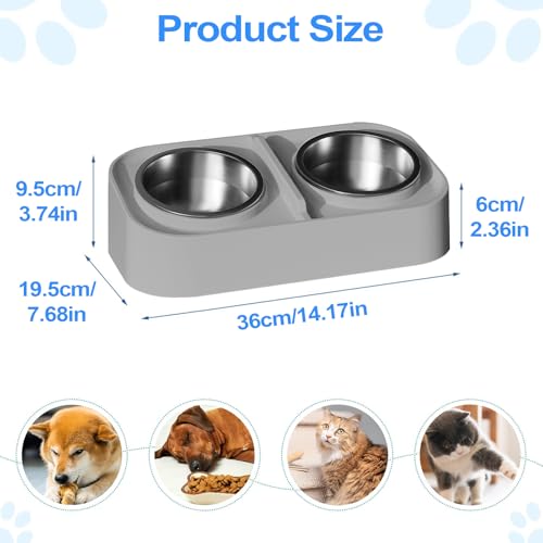 Bol double surélevé pour chat avec distributeur et base antidérapante