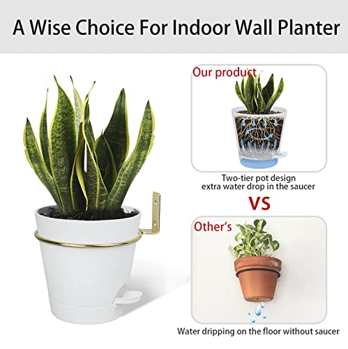 Bouqlife Wall Planters For Indoor Plants 3 Pack 6 Inch Flower Pot Holders Ring With Self Watering Pots Metal Wall Mounted Planters Hangers Gold-White #TOP1