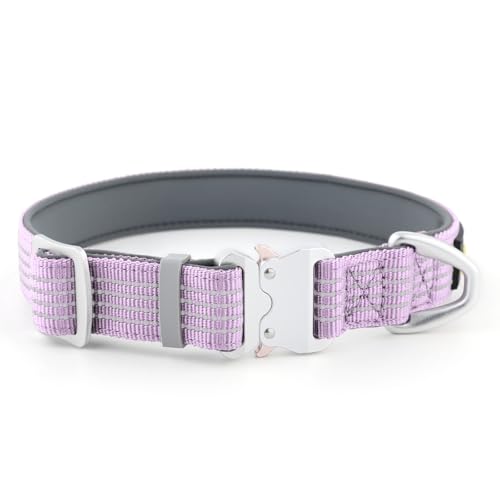 Plutus Pet Reflektierendes Hundehalsband mit Luftfahrt-Aluminiumschnalle, Neopren gepolstert für Komfort, leicht, strapazierfähiges Nylonhalsband für Welpen, kleine, mittelgroße und große Hunde (Lilac