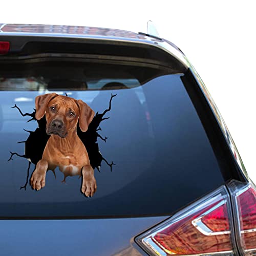 Calcomanía rodesia de Rhodesian Ridgeback, regalo pequeño adhesivo de baño para Guy Love, calcomanías de tractor de vinilo