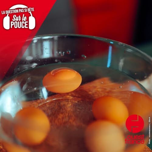 Pourquoi les &oelig;ufs flottent-ils quand ils ne sont pas frais ?