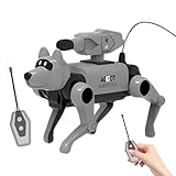 Amusement pratique de l'assemblage : plongez dans une expérience d'assemblage pratique immersive soutenue par des instructions méticuleuses, ce qui en fait un outil pédagogique parfait pour développer la créativité tout en enchantant le processus de construction.