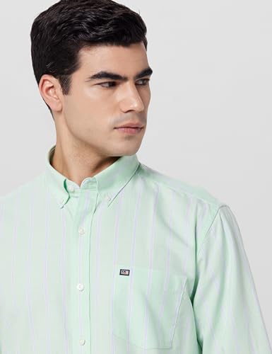 Image of Arrow Men's Striped Slim Fit Shirt