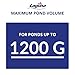Laguna Max-Flo 600 Waterfall and Filter Pump for Ponds Up to 1200-Gallon