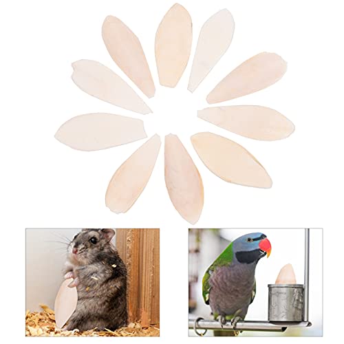 Cabilock Brinquedo molar para animais de estimação, 10 peças, brinquedo de morder de papagaio, espin