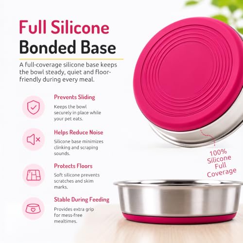 Image of Pet Empire Stainless Steel Cat Silicone Base Bowl for Cats & Puppies | Bowl for Water and Food (200 ML)