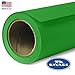 Savage Seamless Paper Photography Backdrop - #46 Tech Green (107 in x 36 ft) Made in USA