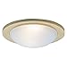 Nora Lighting NL-3325BZ-Frosted Dome Lens with Bronze Ring