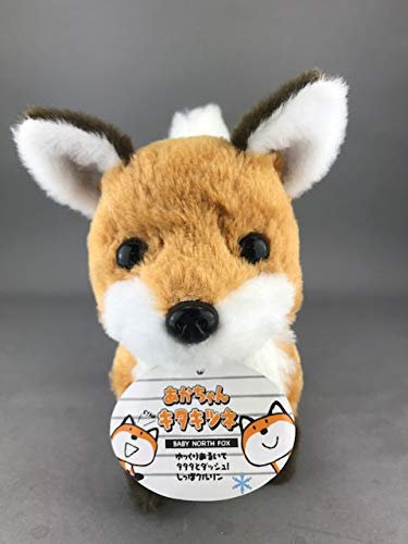 Amazon.co.jp: 石川玩具 あかちゃんシリーズ キタキツネ ぬいぐるみ