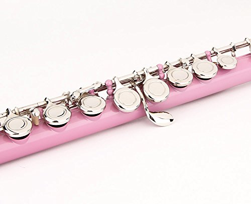 Image of Glory Closed Hole C Flute With Case, Tuning Rod and Cloth and Gloves, Light pink
