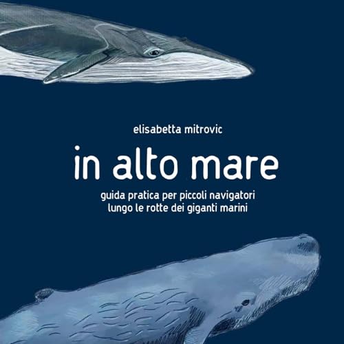 IN ALTO MARE - di Elisabetta Mitrovic