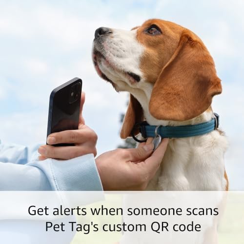 Ring Indoor Cam (2nd Gen), Black with Ring Pet Tag - image 2