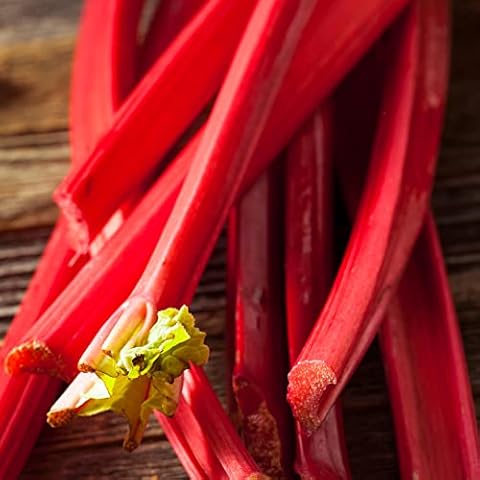 Rhubarb Suttons Seedless Garden Bare Root Crown Cover