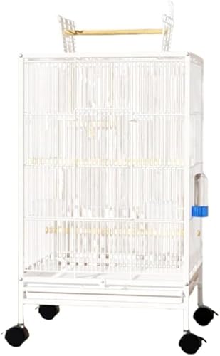 KryZaroubN^IEP[W  LX^[t Xy[X