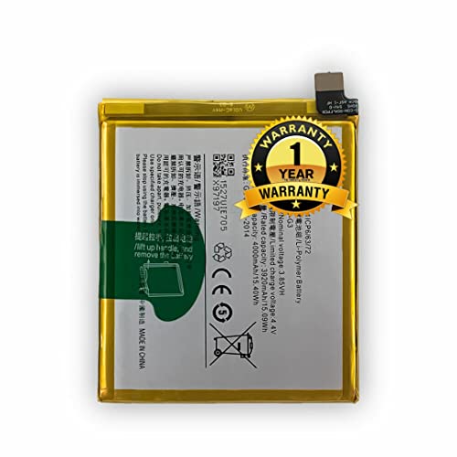 Image of THE BATTERY STORE Orignal B-G3 Battery for vivo Compatible with Vivo Y91, Y93, Y95 Battery with 1 Year Warranty and high Battery Backup. Carefully Check Your Model and Purchase (for VIVO B-G3)