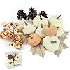 17 pcs kit artificial pumpkins decorations plastic pumpkins for fall home farmhouse thanksgiving mini pumpkin decor  urban country home decor